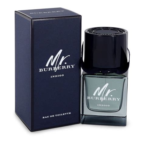 mr burberry perfume fragrancex|mr burberry indigo 50ml.